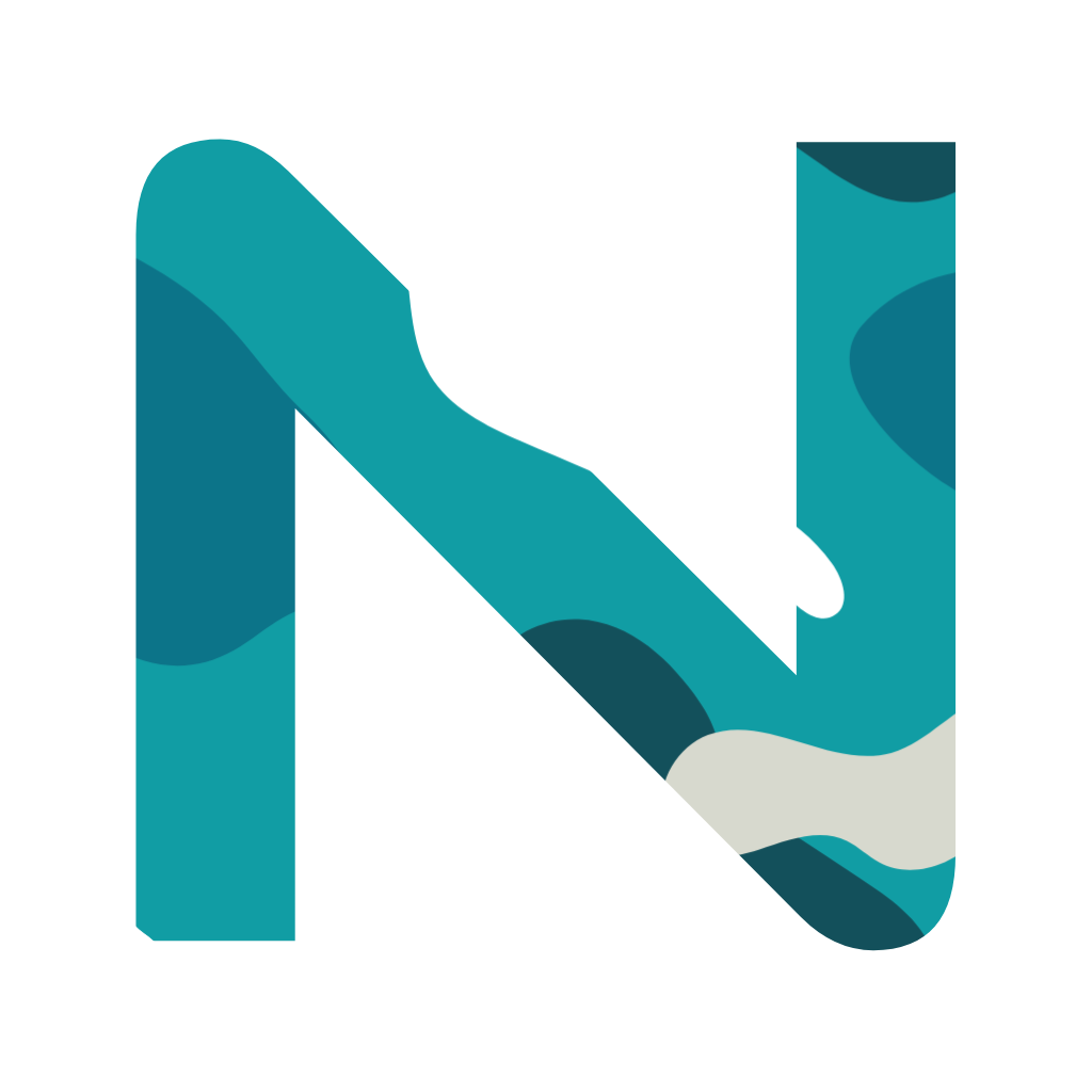 Nexonous Logo